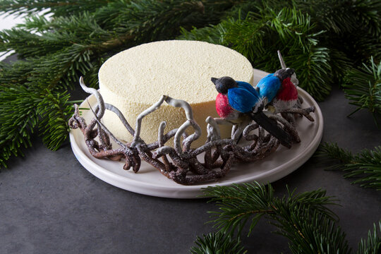 modern dessert. mousse cake light background