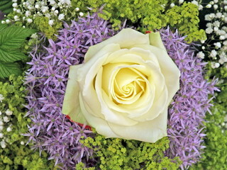 White rose in bouquet summer flowers and  Alchemilla mollis. - 713019743