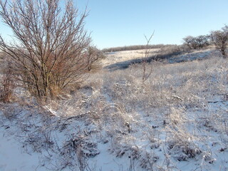 Panorama of the snow-white hillside on both sides of the steppe path against the background of the blue frosty sky on the horizon.