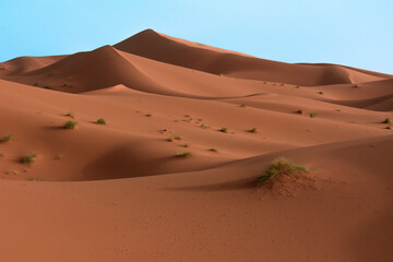 El desierto del Sahara