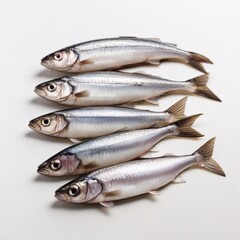 herring lies on a white background, one herring lies on a white background
