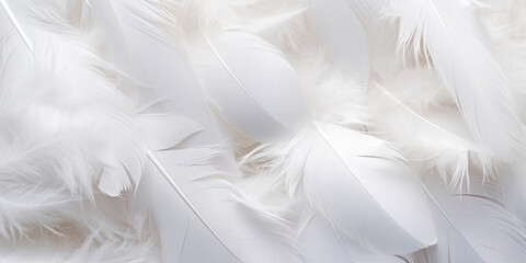 Beautiful white feather wooly pattern texture, Close up white feathers luxury background.