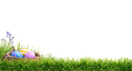 A blank template of three painted easter eggs in a birds nest celebrating a Happy Easter on green grass and isolated on transparent background.	
