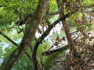 A wooden vehicle used for water transport is usually called a canoe.