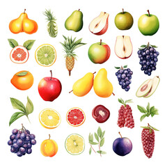 Clipart Bundle Watercolor Fruits element Object