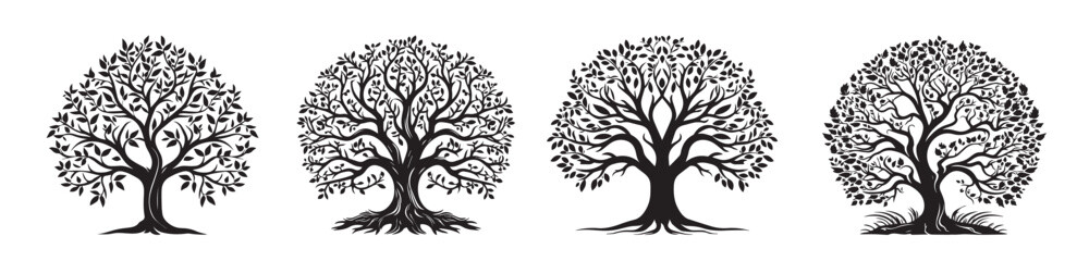 Obraz premium set of trees silhouettes black vector shape