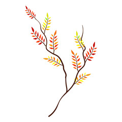 Design Material isolated transparent Branch and Leaves illustration for asset