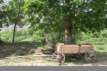 An aged, weathered wooden wagon rests silently beneath the shade of a majestic tree, holding stories of past adventures.