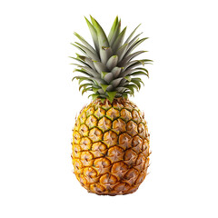 Pineapple clip art