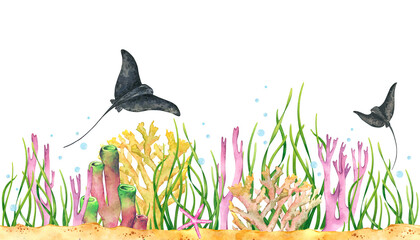 Watercolor underwater sea bottom. Hand drawn seamless border with seaweeds, corals, stingrays and bubles isolated on a white background.