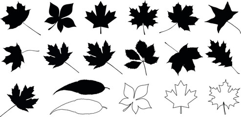 Autumn leaves vector, black silhouettes, maple, oak, seasonal design elements, nature themes, fall decorations, high contrast, monochrome, detailed veins, edges, diverse leaf types