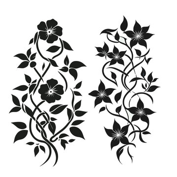 collection of beautiful and beautiful creeping flowers in black and white,