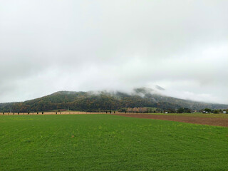Naklejka na ściany i meble overcast on Pohorje Mountains. Slovenia. Autumn landscape