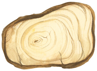 Wooden slice illustration. Wooden signboard. Tree trunk cross section. Hand painted wooden texture board. Tree rings. Rustic natural eco design for wedding, cards, invitations. Watercolor style.