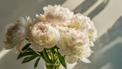 美しい白いシャクヤクの花束