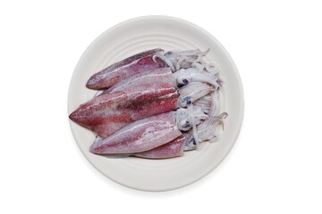 Fresh Raw Squid or cuttlefish on isolated white background. Sefalopoda or Cephalopoda. Loligo...