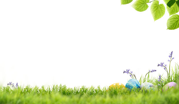 A blank template of a line of painted easter eggs in lush green grass, bluebells and green tree leaves to celebrate a Happy easter isolated on transparent background.