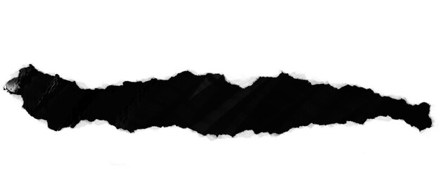 realistic paper torn border