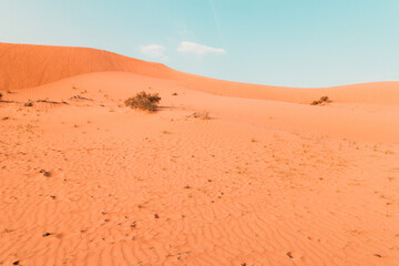 The Desert in Ras al Khaimah, United Arab Emirates, Asia
