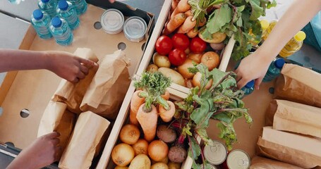 Hands, groceries and food drive with people packing box from above for charity or community service. Donation, mindfulness and poverty with volunteer team collecting essential supplies closeup - Powered by Adobe