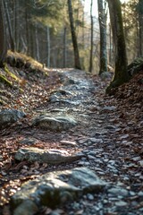 Obraz premium A path in the woods with rocks and leaves on the ground. Suitable for nature and outdoor themed designs