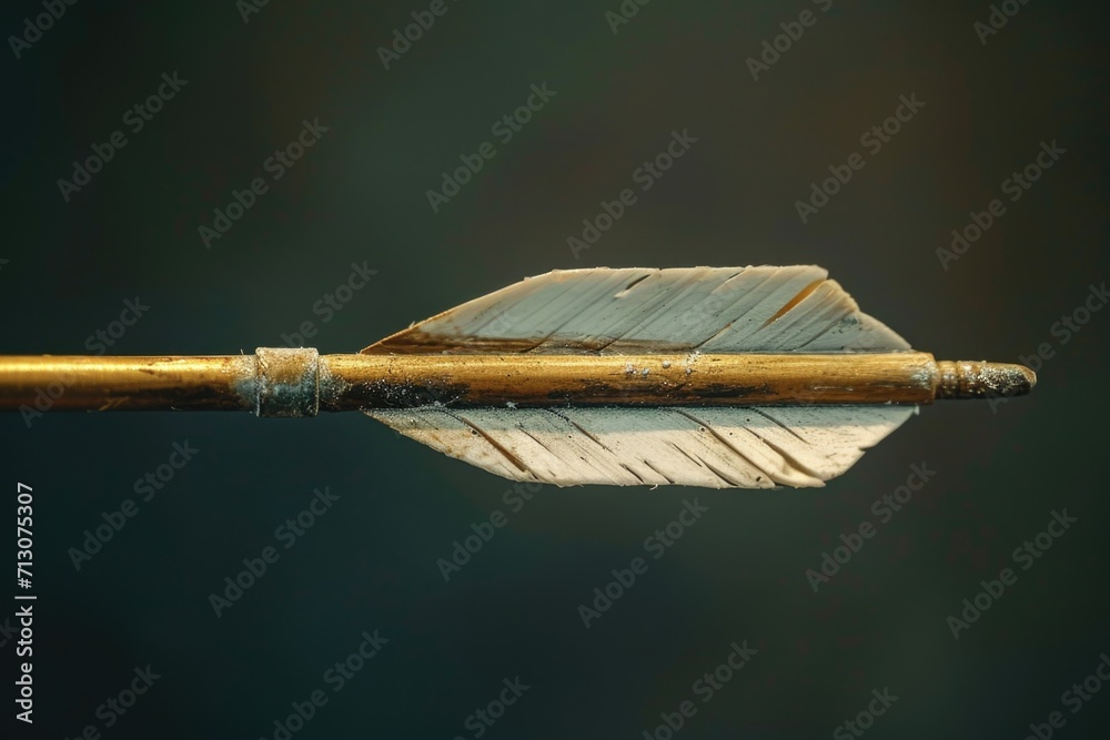 Poster A close-up view of an arrow on a stick. This versatile image can be used in various contexts