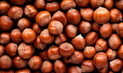 Fotobehang Hazelnuts background, top view, close up of hazelnut nuts texture © xamtiw