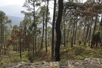 Mountain's, nature and travelling photo