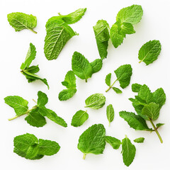 fresh mint leaves  on white background generate AI