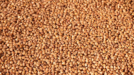 Close-up shot of buckwheat groats on a contrasting background