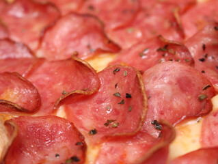 details of the pepperoni pizza. Brazilian pizza. meal details. food texture. pizza with selective focus.