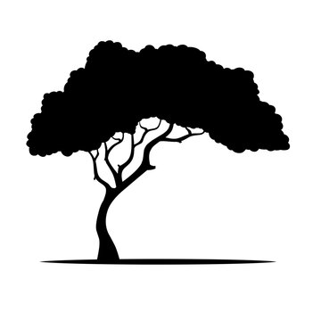 African tree silhouette icon vector. Sabana tree silhouette for icon, symbol or sign. African tree icon for nature landscape, illustration or forest