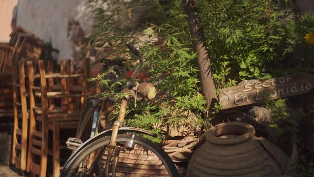 Frontal view of old orange bicycle with rustic antique light on front above fenders pushed against plants in the shade