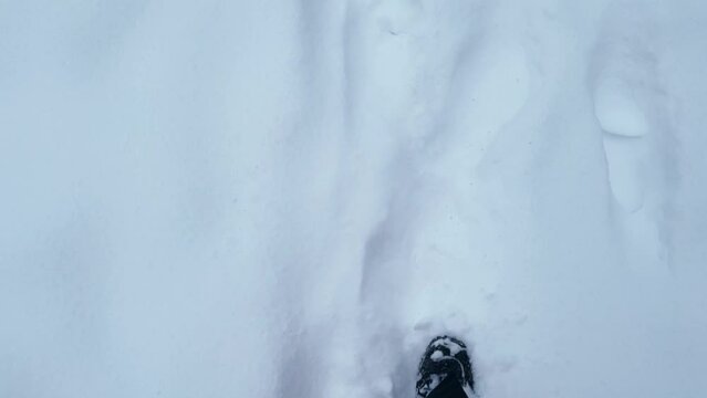 A Lone Explorers First-Person View Trudging Through a Pristine Snowy Landscape