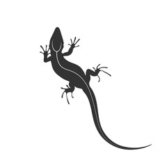 Lizards black silhouette isolated on white background.