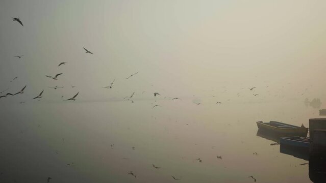 Yamuna Ghat, Delhi