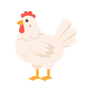 Hen illustration in cartoon and flat style. Farm animals clipart for kids