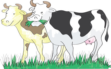 Two cows standing side by side, one eating grass.