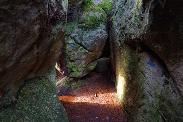 Denecourt path 4 in the boulders of the n Saint-Germain rock. Fontainebleau forest