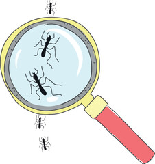 Examining ants with a magnifying glass. © ribella