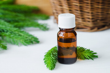 Small bottle with essential black spruce oil. Aromatherapy, homemade spa, beauty treatment and herbal medicine ingredients.
