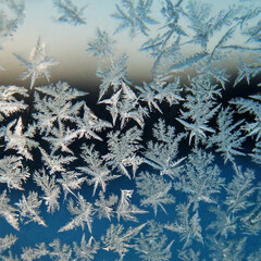 A close-up of ice crystals forming on a windowpane during winter