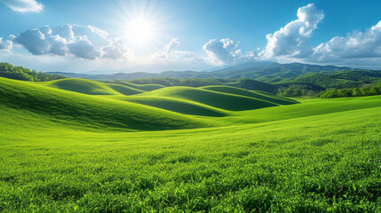 Naklejka premium Champs vert à perte de vue idéal fond pour site internet