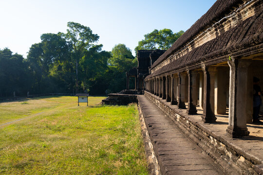 Temple in the forest