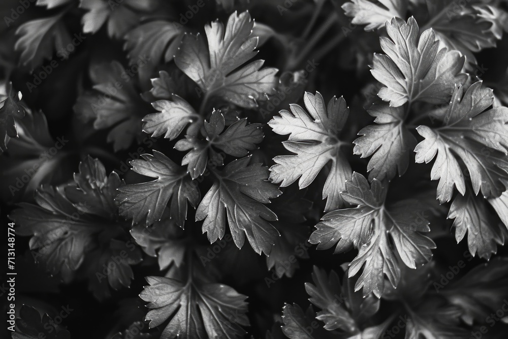Poster a close-up view of a bunch of leaves. suitable for various nature-themed projects