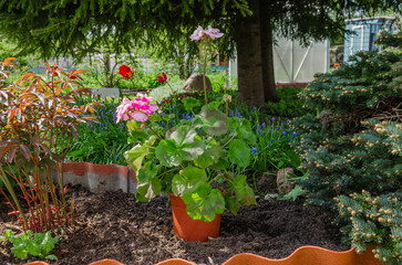 Fototapeta na wymiar Garden design with flowers and trees