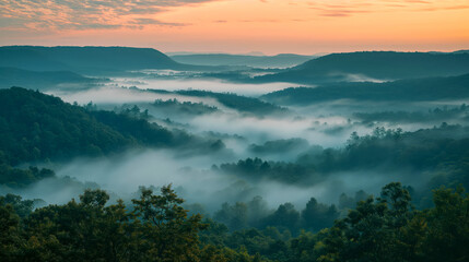 Misty Morning Over Forested Valley