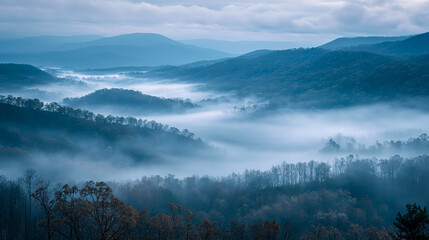 Misty Morning Over Forested Valley