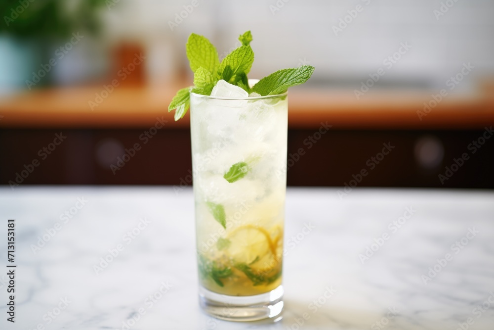 Wall mural mojito with mint sprig in highball glass