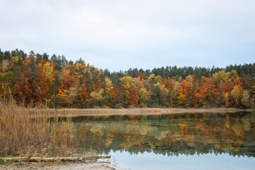 Autumn colored forest reflected in the surface of the lake water.  Jesień kolorowy las odbijający się w tafli wody jeziora. 